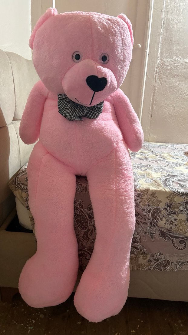 Pembe Peluş Oyuncak Ayı - Görsel 2