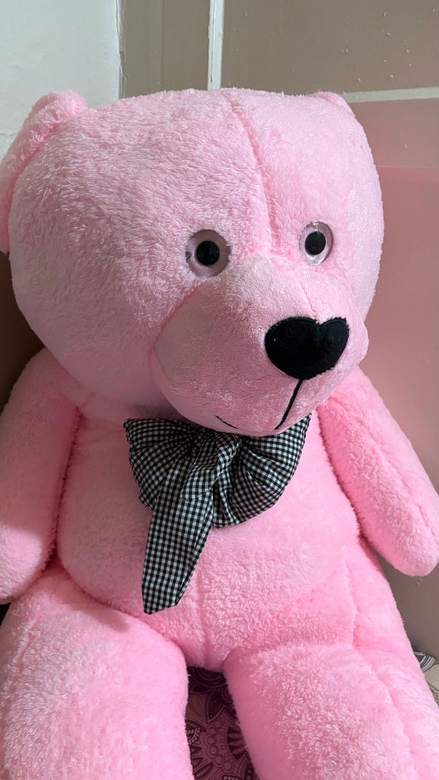 Pembe Peluş Oyuncak Ayı - Görsel 4