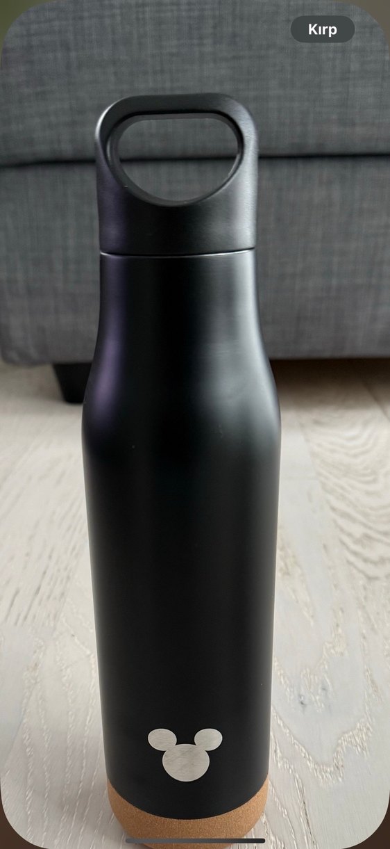 Disney Termos - Görsel 3