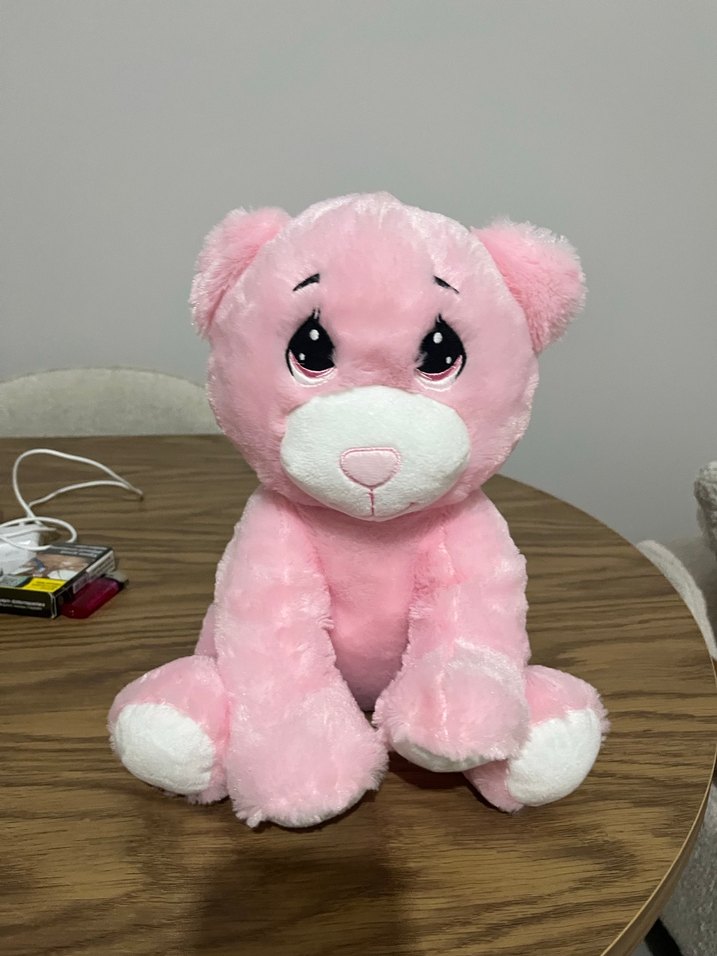 Pastel Pembe Peluş Ayıcık Oyuncak - Görsel 2