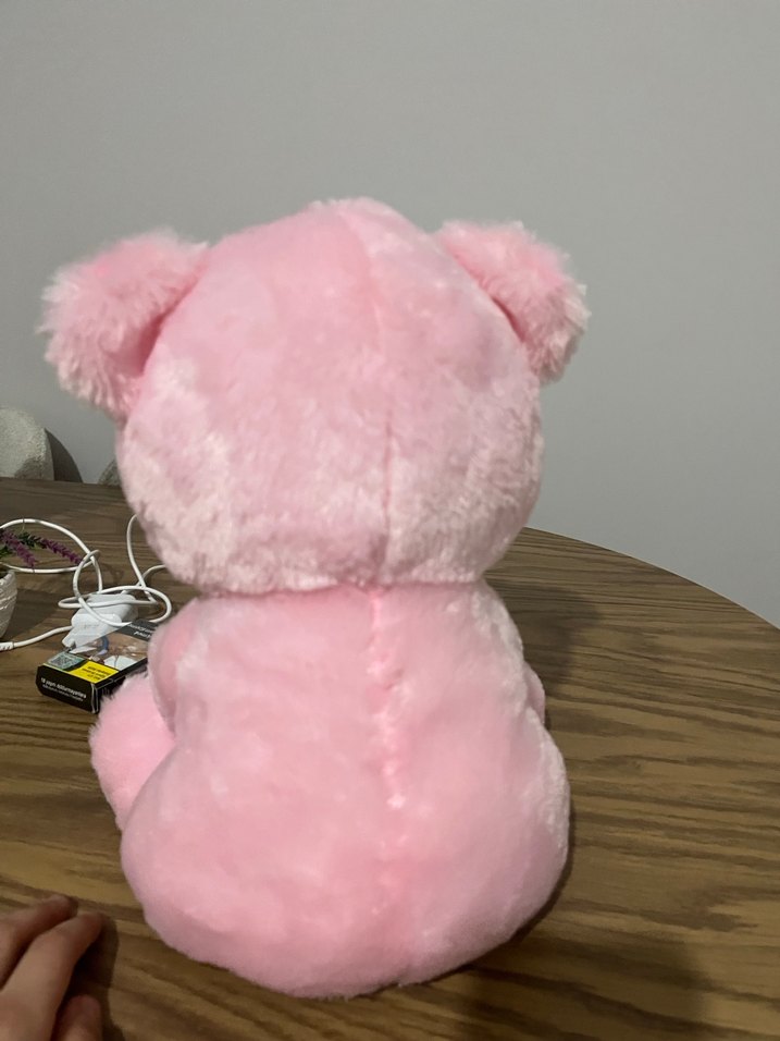Pastel Pembe Peluş Ayıcık Oyuncak - Görsel 3