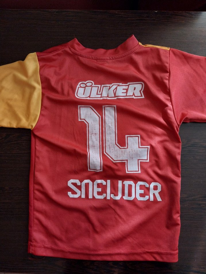 Erkek Renkli Kısa Kollu GS Spor Forma - Görsel 2