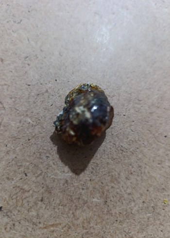 Koyu Cam Kavanozda Balm çam ağacı zifi 2015 - Görsel 4