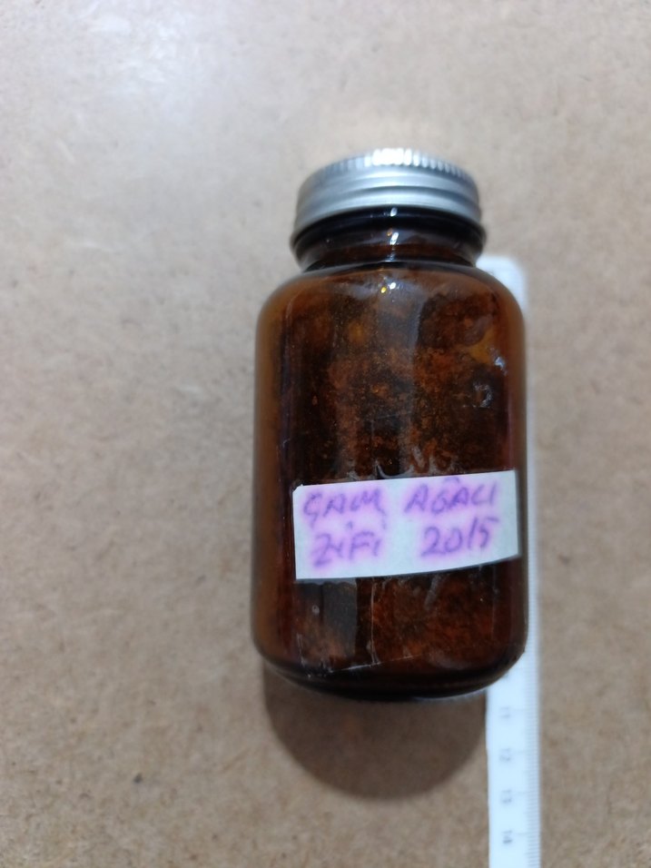 Koyu Cam Kavanozda Balm çam ağacı zifi 2015 - Görsel 3