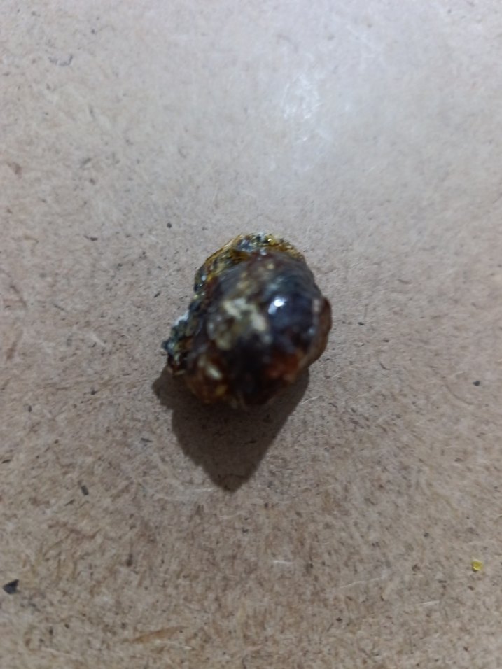 Koyu Cam Kavanozda Balm çam ağacı zifi 2015 - Görsel 4