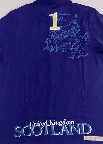 Kahverengi Çizgili Erkek Polo Tişört - Görsel 4