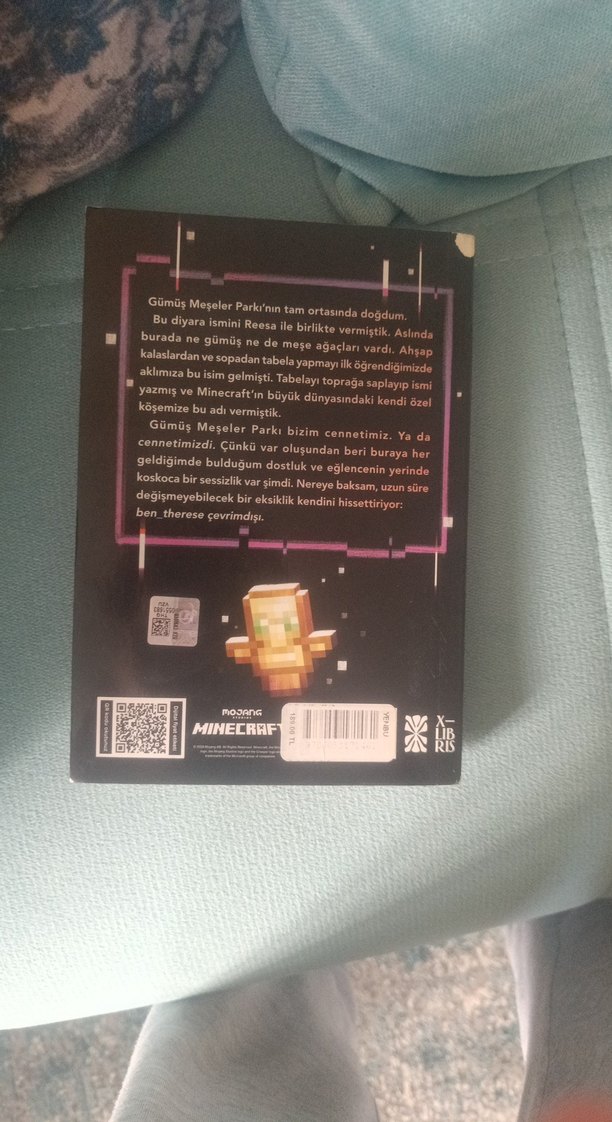 Minecraft Cennet Testleri - Suyi Davies - Görsel 2