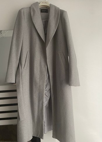 Gri uzun kaban - Görsel 2
