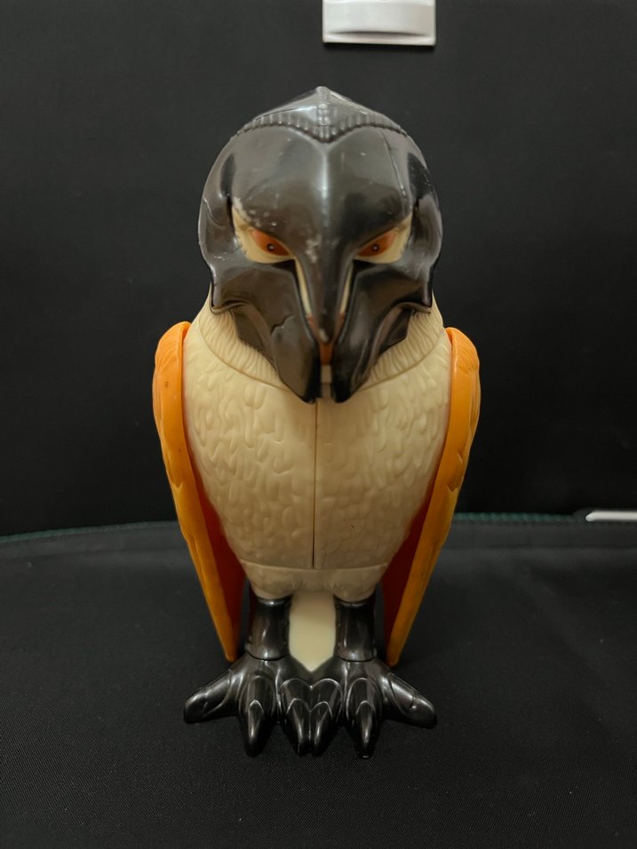 BAYKUŞ KRALLIĞI - Görsel 2