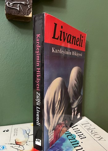 Livaneli - Kardeşimin Hikayesi Romanı - Görsel 2