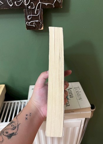 Livaneli - Kardeşimin Hikayesi Romanı - Görsel 3