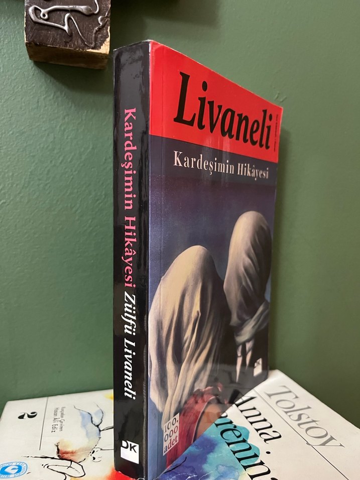 Livaneli - Kardeşimin Hikayesi Romanı - Görsel 2