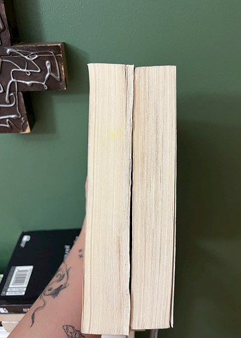 Uçurtma Avcısı ve Bin Muhteşem Güneş - Görsel 3