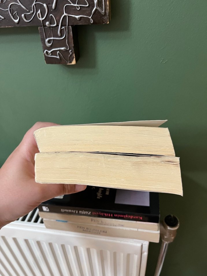 Uçurtma Avcısı ve Bin Muhteşem Güneş - Görsel 4