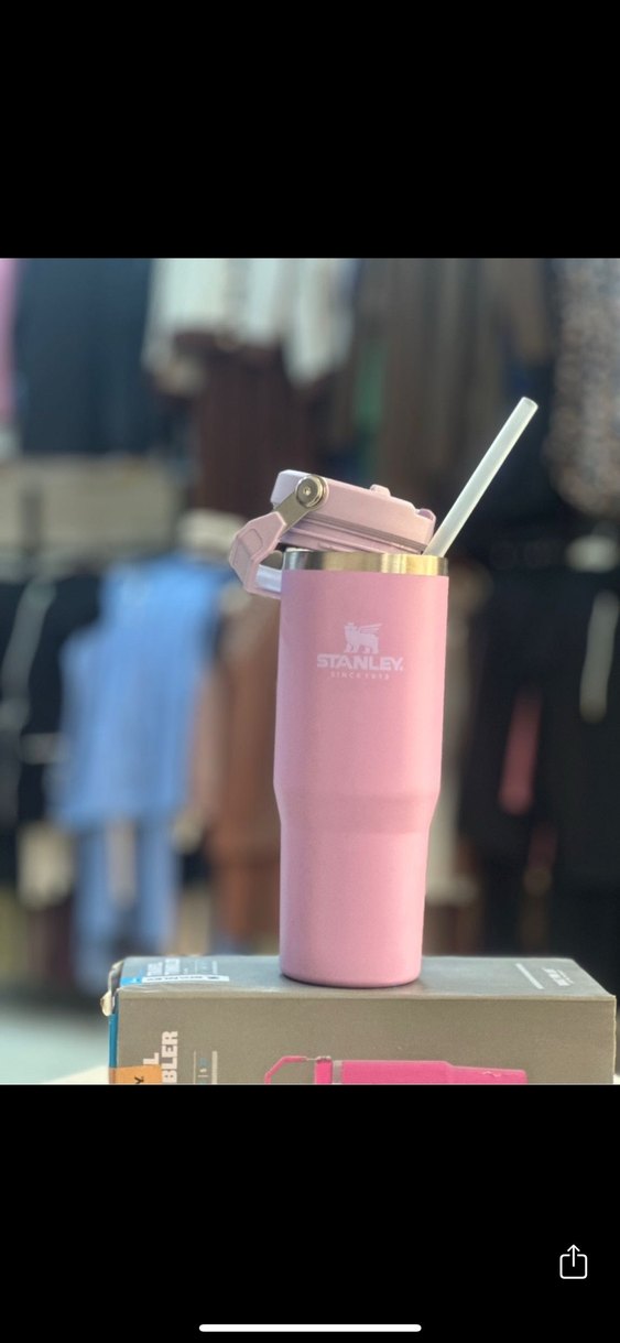 STANLEY TERMUS 880 ml - Görsel 3