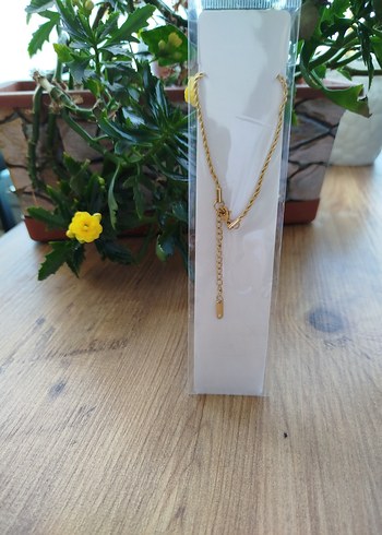 Uzun Zincirli Altın Renkli Kadın Kolye - Görsel 2
