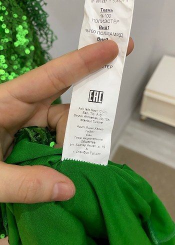 Parlak Yeşil Pul İşlemeli Uzun Abiye Elbise - Görsel 3