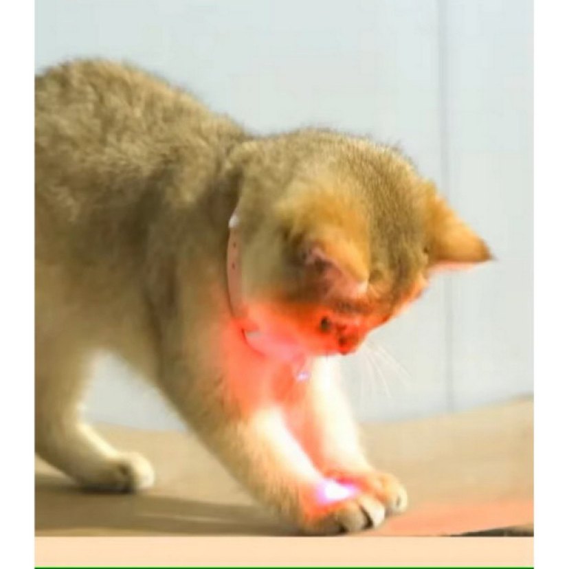 AKILLI LAZER KEDİ OYUNCAĞI - Görsel 3