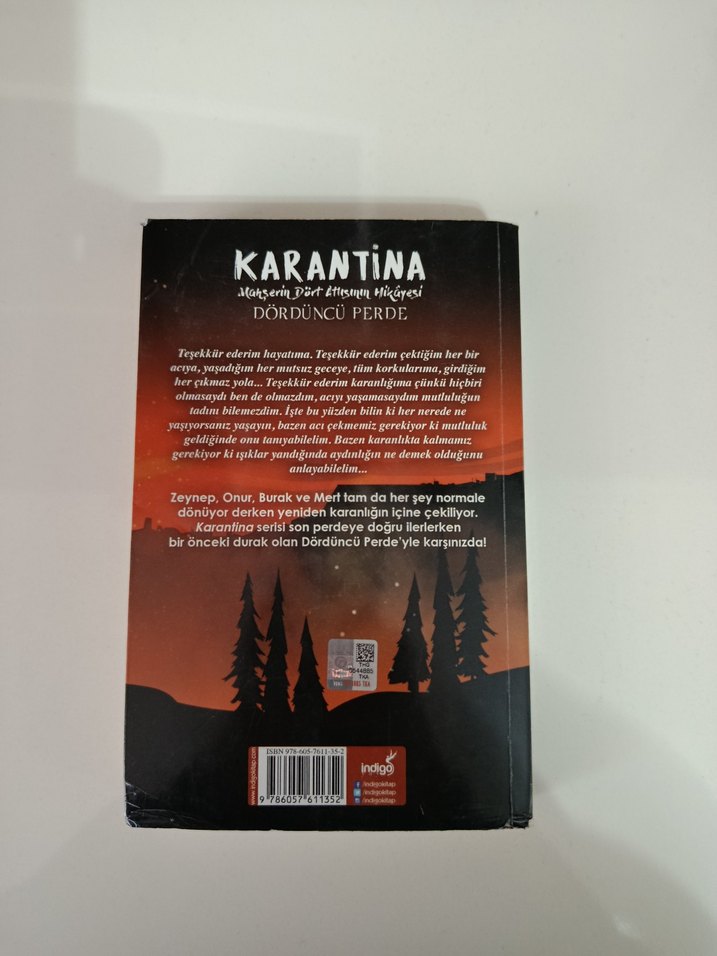 Karantina 4 - Beyza Alkoç - Görsel 2