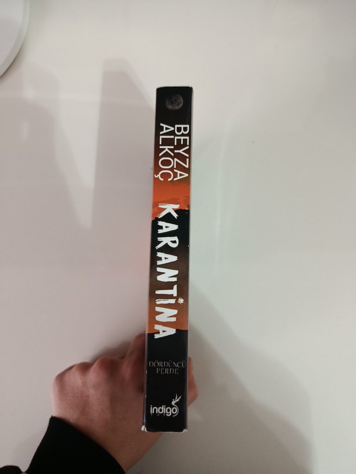 Karantina 4 - Beyza Alkoç - Görsel 3