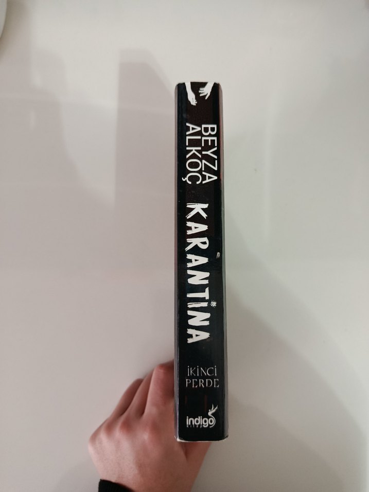 Karantina 2 - Beyza Alkoç - Görsel 3