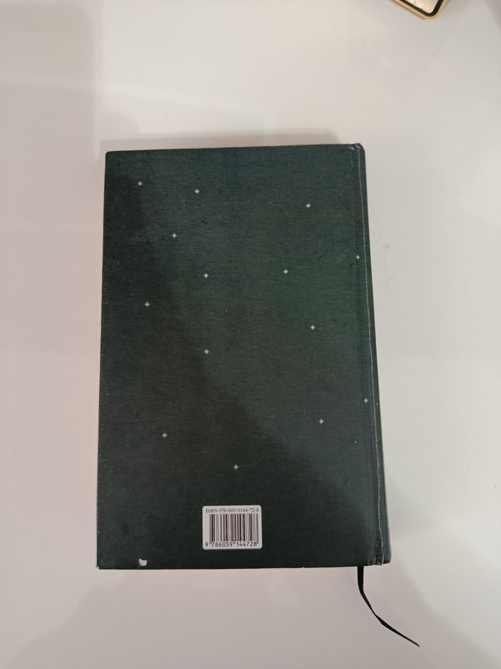 Karantina 1 - Beyza Alkoç - Görsel 2