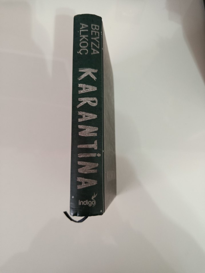 Karantina 1 - Beyza Alkoç - Görsel 3