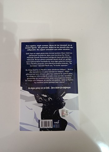 Kar Küresi - Beyza Alkoç - Görsel 2