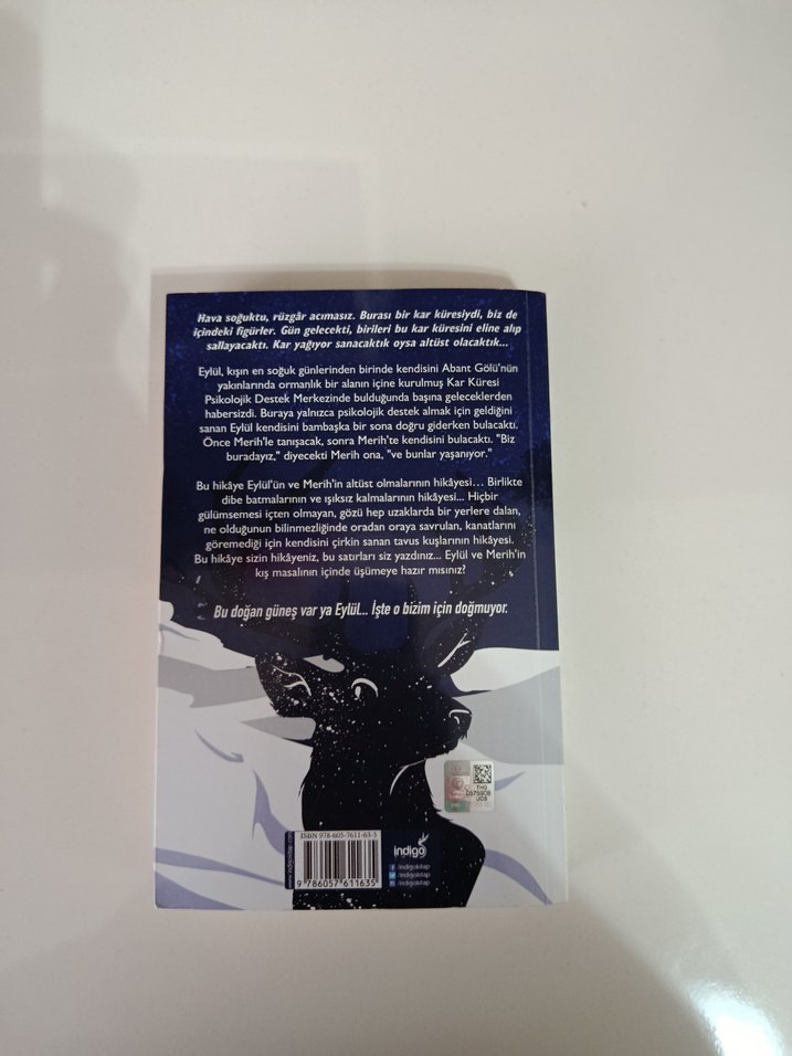 Kar Küresi - Beyza Alkoç - Görsel 2