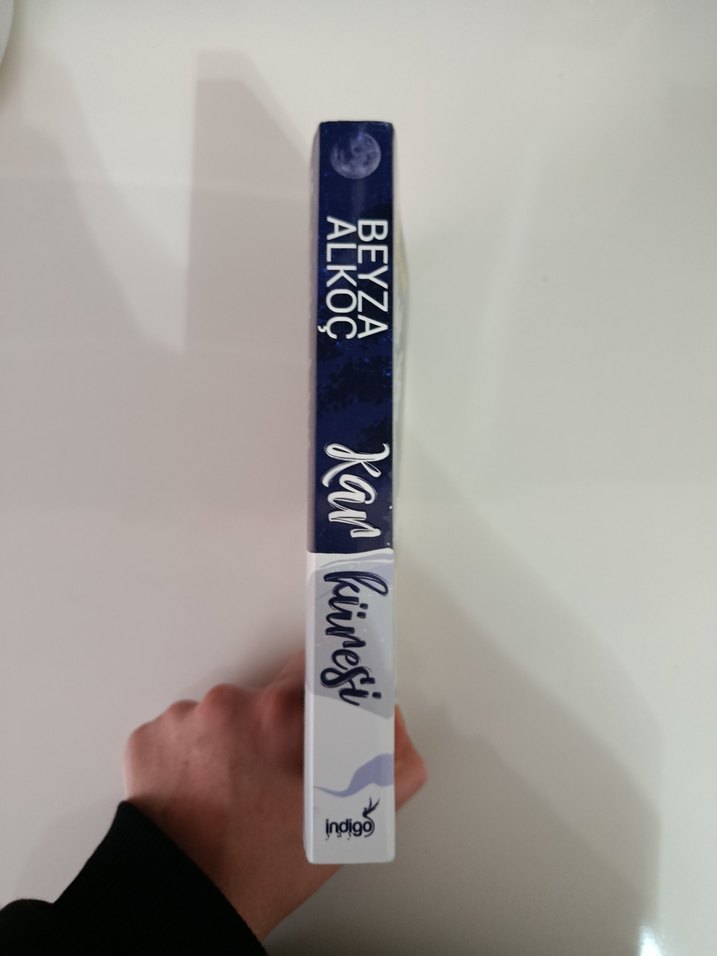 Kar Küresi - Beyza Alkoç - Görsel 3