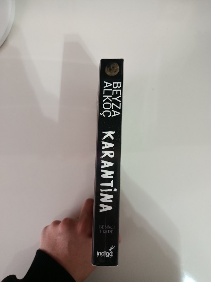 Karantina 5 - Beyza Alkoç - Görsel 3