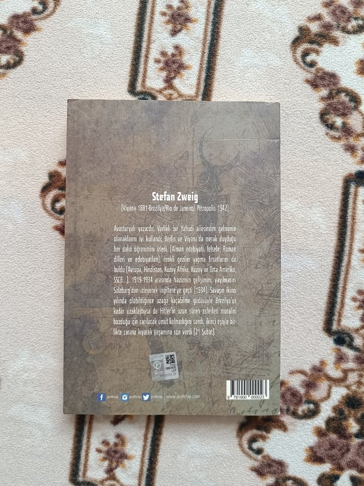 Stefan Zweig - Marienbad Şiirleri Romanı - Görsel 3