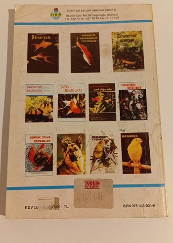 Köpek Dünyası - Tuncel Altınköprü - Görsel 2