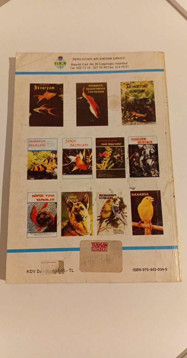 Köpek Dünyası - Tuncel Altınköprü - Görsel 2