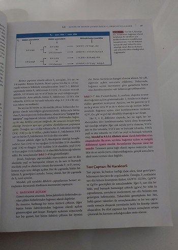 Genetik Kavramlar Kitabı - Palme Yayıncılık - Görsel 4
