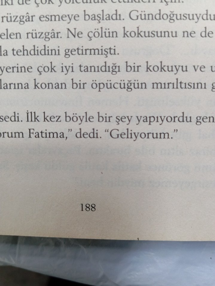 Paulo Coelho - Simyacı Romanı - Görsel 4