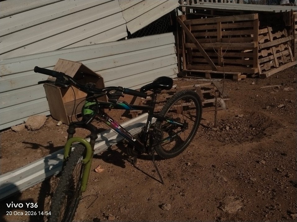 Koyu Yeşil STUBORO Bisiklet - Görsel 2