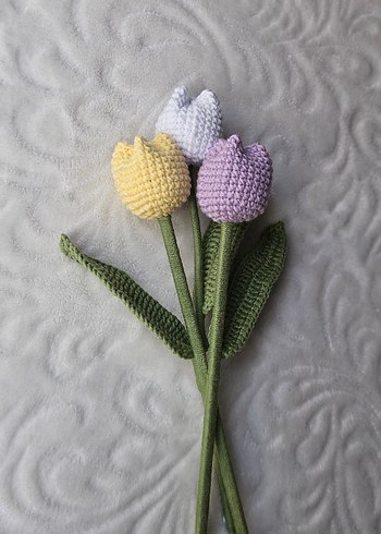 El Örgüsü Renkli Laleler - Görsel 2