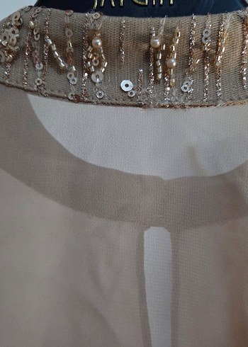 Bej Nakışlı Uzun Abiye Elbise - Görsel 10