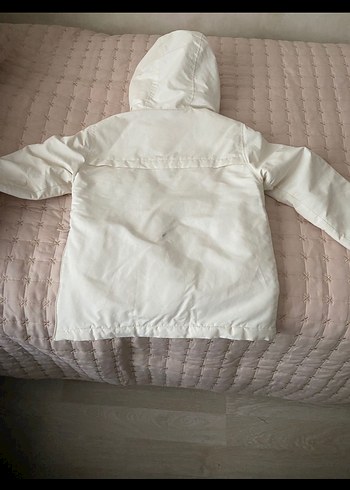 Kanguru mont - Görsel 3