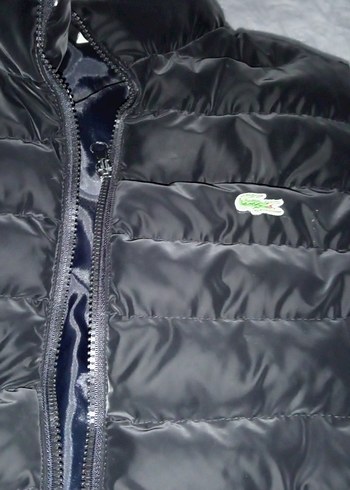 Erkek Siyah Fermuarlı Dik Yaka Yelek - Görsel 2