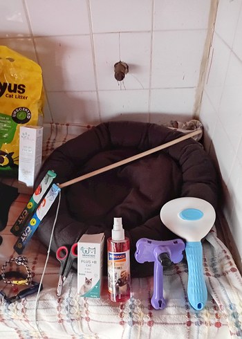 Kahverengi Taşınabilir Kedi Kafesi ve Tırmalama Direği - Görsel 3