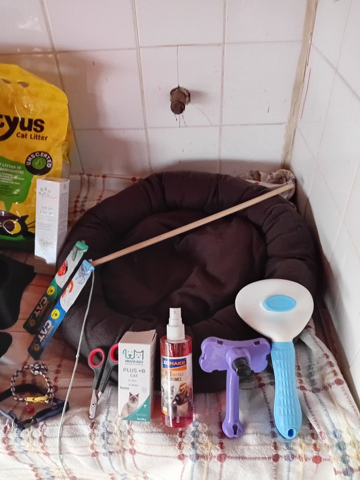 Kahverengi Taşınabilir Kedi Kafesi ve Tırmalama Direği - Görsel 3