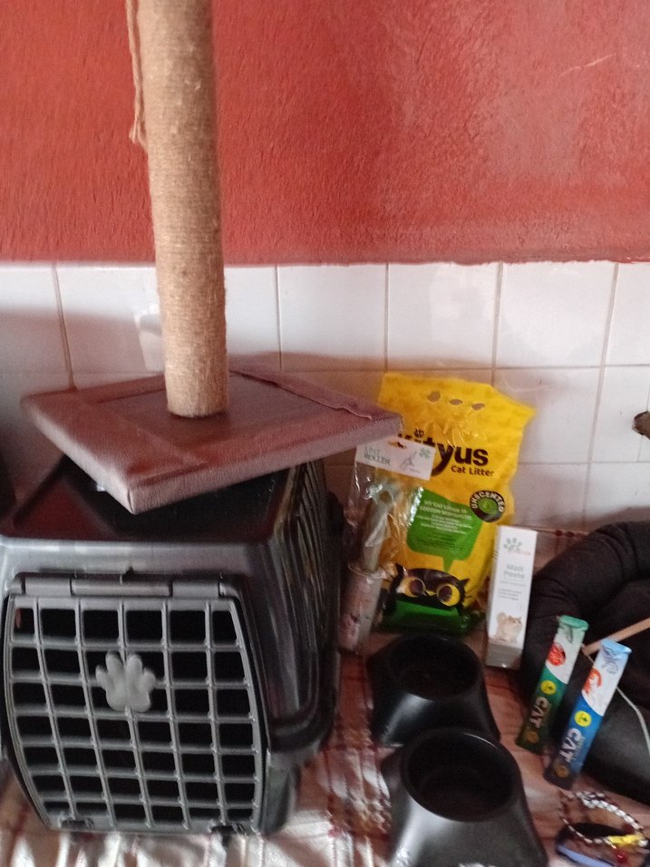 Kahverengi Taşınabilir Kedi Kafesi ve Tırmalama Direği - Görsel 2