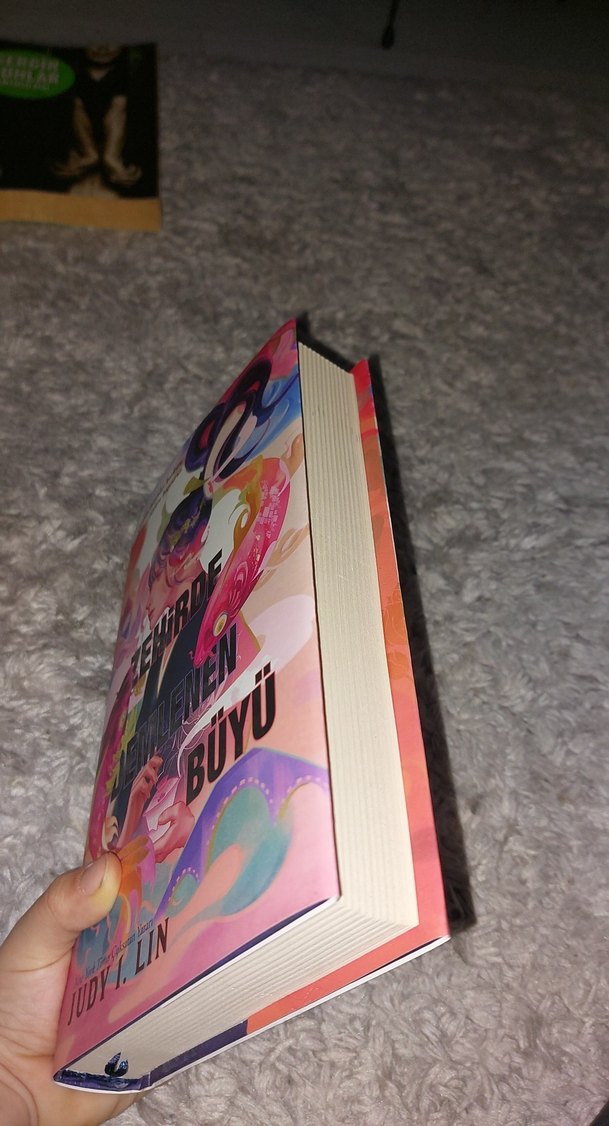 Çeşitli Roman Kitapları Seti - Görsel 5