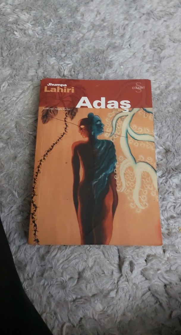 çeşitli romanlar - Görsel 2