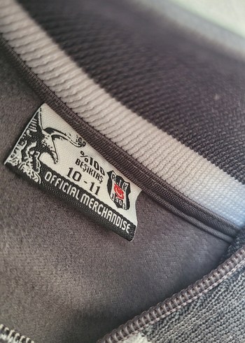 Beşiktaş Erkek Çocuk Gri Sweat - Görsel 5