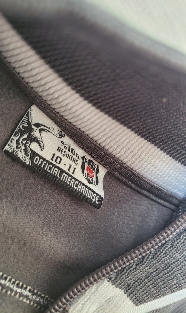 Beşiktaş Erkek Çocuk Gri Sweat - Görsel 5