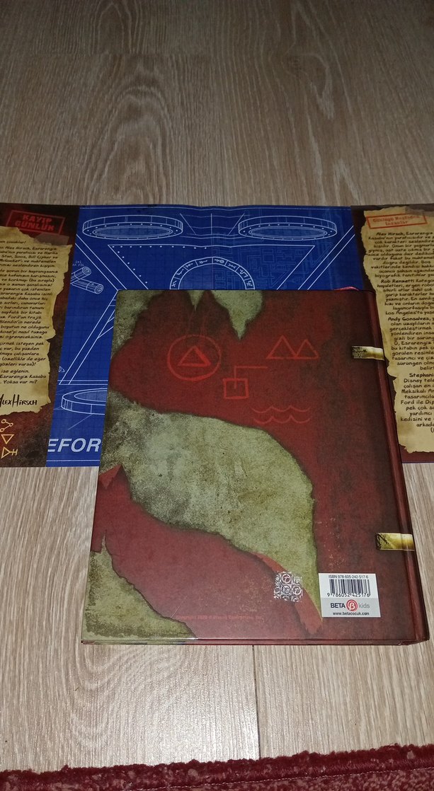 Gravity Falls Günlük 3 Sanat Kitabı - Görsel 3