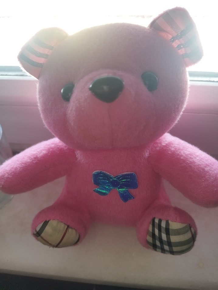 Pembe Peluş Ayıcık Oyuncak - Görsel 2